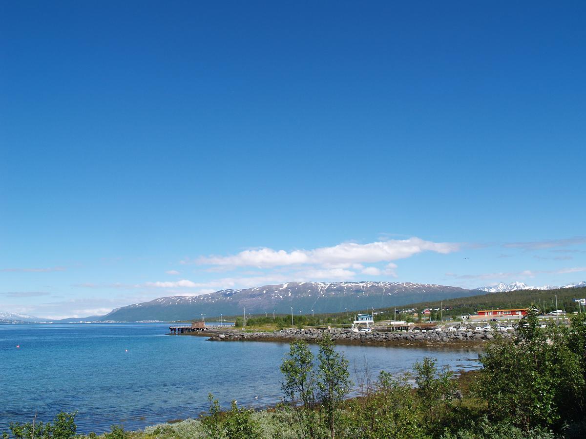 Vikran Vacation: Sea Fishing And Northern Lights Экстерьер фото