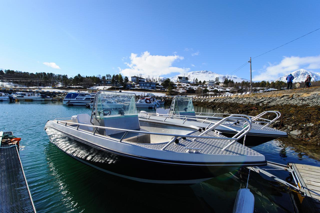 Vikran Vacation: Sea Fishing And Northern Lights Экстерьер фото