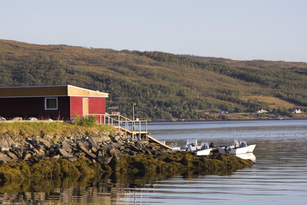 Vikran Vacation: Sea Fishing And Northern Lights Экстерьер фото