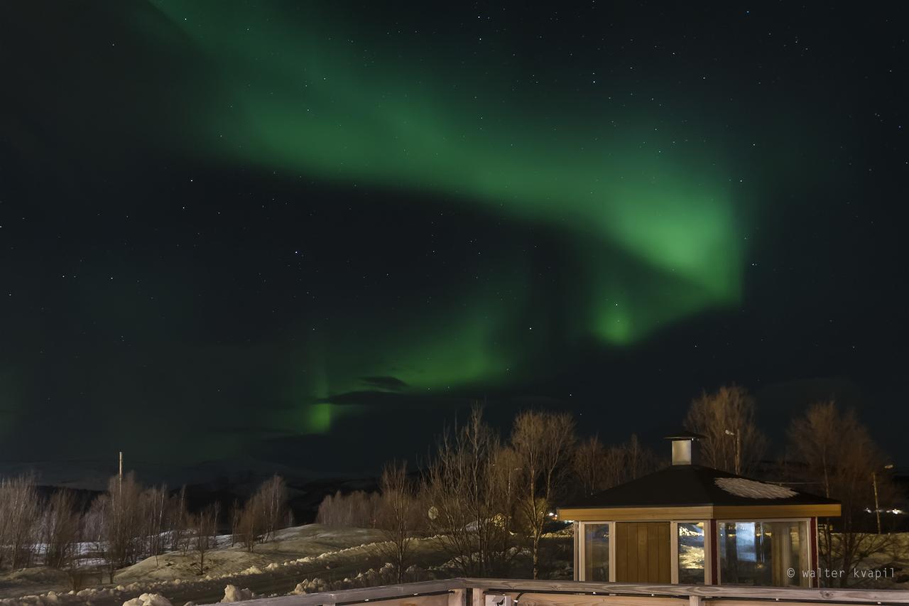 Vikran Vacation: Sea Fishing And Northern Lights Экстерьер фото